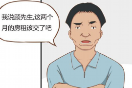 嘉鱼专业要账公司